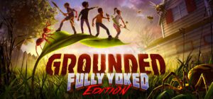 Grounded game info