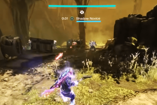 Destiny 2 - Guide on How to Solo Flawless the Equilibrium Dungeon.